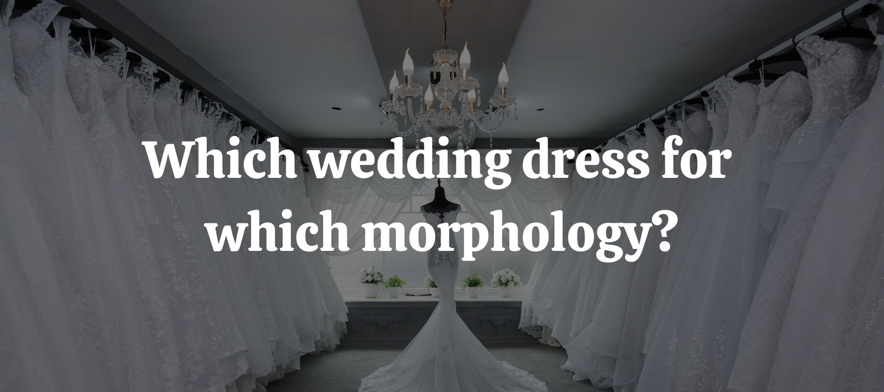 Which wedding dress for which morphology
